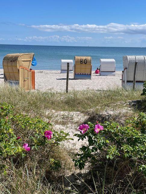 Fewo-Mit-Terasse-U-Garten-Am-Golfplatz Wulfen auf Fehmarn Eksteriør bilde