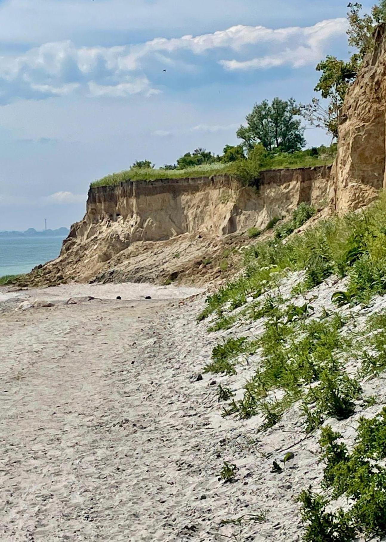 Fewo-Mit-Terasse-U-Garten-Am-Golfplatz Wulfen auf Fehmarn Eksteriør bilde